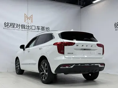 Haval Chulian