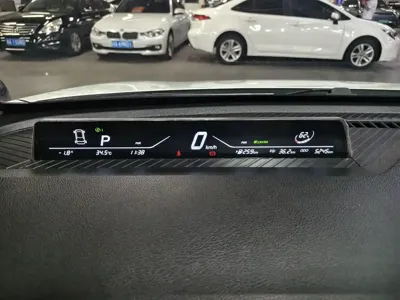 NETA Neta V