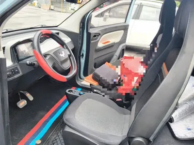 Wuling MINIEV