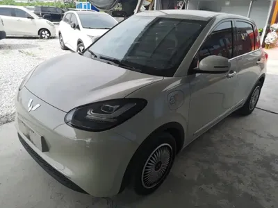 Wuling Bingo