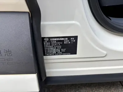 BYD Seagull