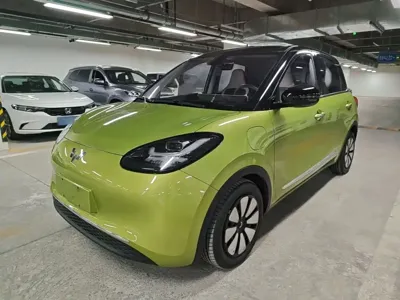 Wuling Bingo