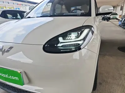 Wuling Bingo