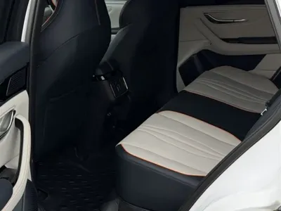 BYD PLUS New Energy