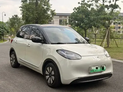 Wuling Bingo