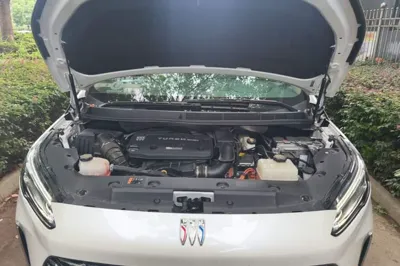 Buick GL8 New Energy