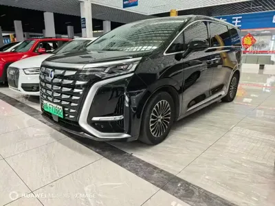 Denza Denza D9