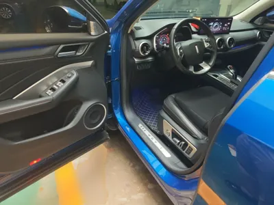 WEY VV6