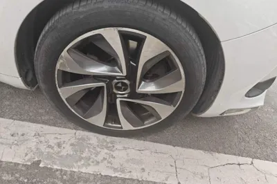 DS 5