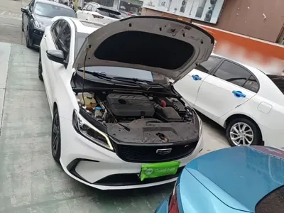 Geely Binrui