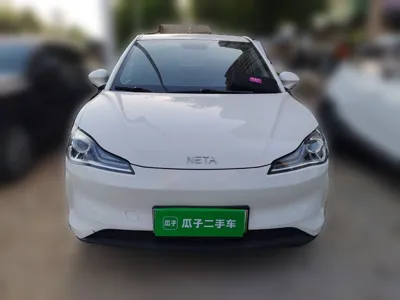 NETA V