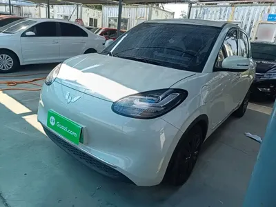 Wuling Bingo