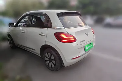 Wuling Bingo