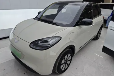 Wuling Bingo