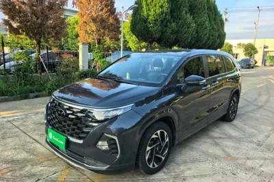 Hyundai Custo