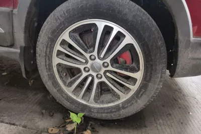 Haval H1