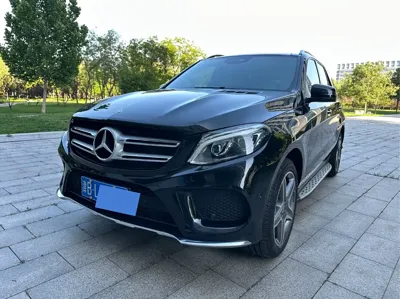 Mercedes-Benz 奔驰GLE(进口)