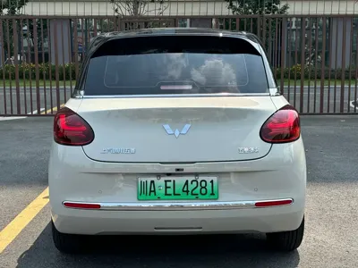 Wuling Bingo