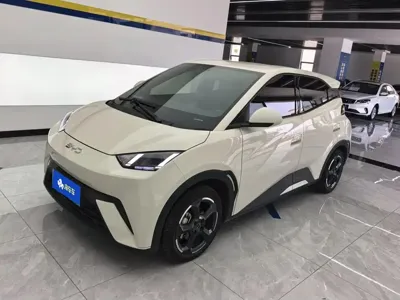 BYD Seagull