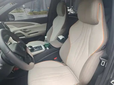 BYD Pro New Energy