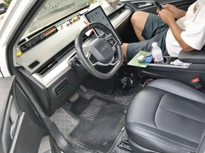 NETA Neta V