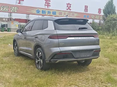BYD Pro New Energy