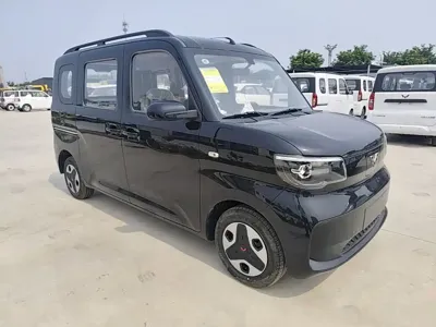 Wuling Zhiguang EV