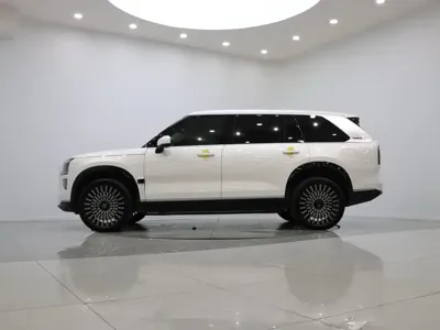 Zeekr 极氪9X