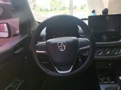 Baojun 310