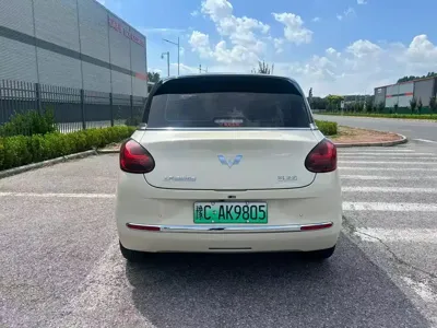 Wuling Bingo