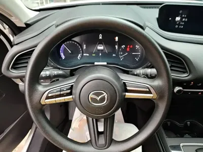 Mazda CX-30 EV