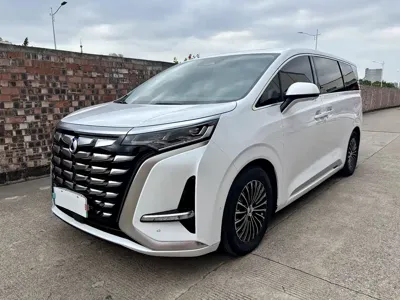 Denza Denza D9