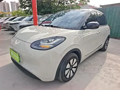 Wuling Bingo