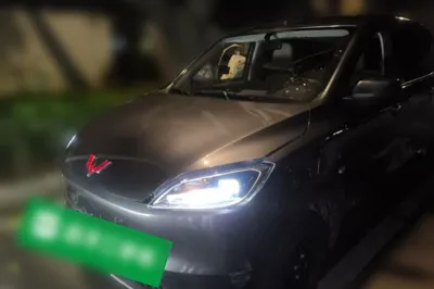 Wuling Hongguang New Energy