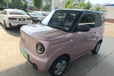 Geely Galaxy Panda