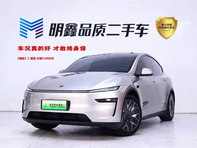 Tesla Model Y L