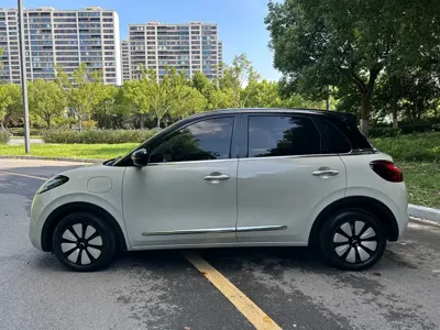 Wuling Bingo