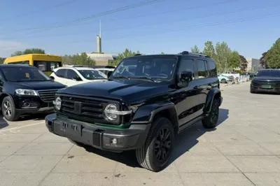 Tank 300