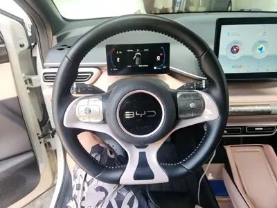 BYD Seagull
