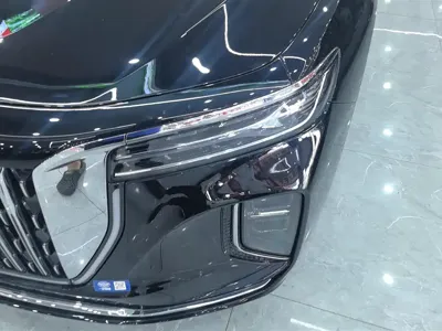 Hongqi Hongqi H9