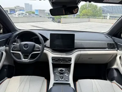 BYD PLUS New Energy