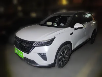 Wuling Asta