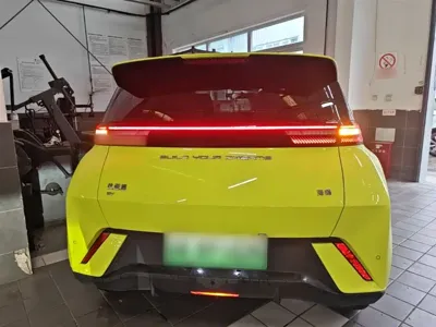 BYD Seagull