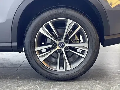 BYD Pro