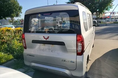 Wuling Zhiguang New Energy