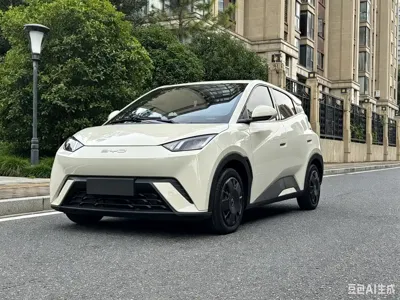 BYD Seagull