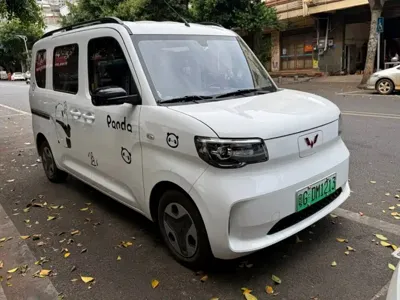 Wuling Zhiguang EV