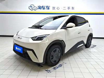 BYD Seagull