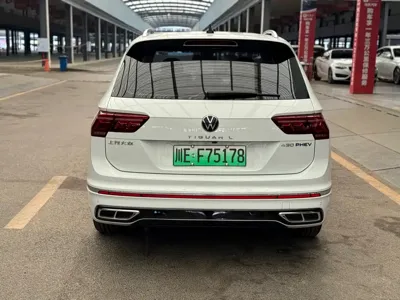 Volkswagen Tiguan L New Energy