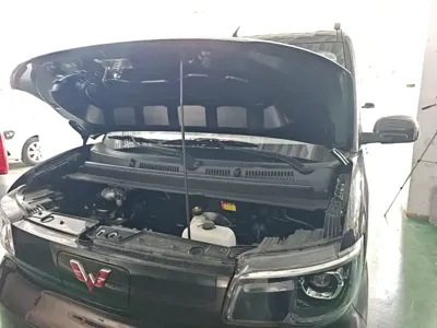 Wuling Zhiguang EV